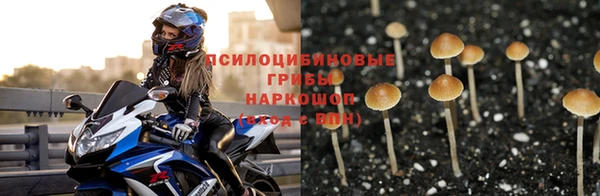 круглые Абаза
