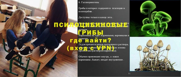 СК Абдулино