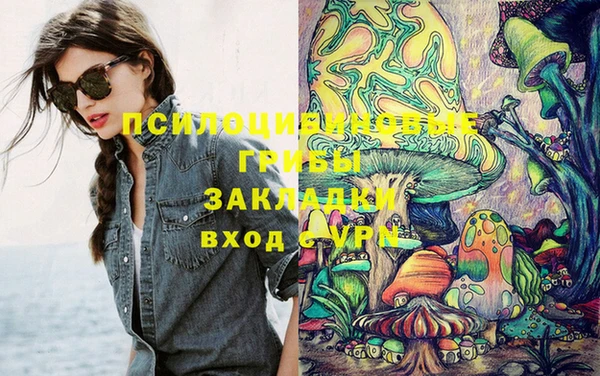 круглые Абаза