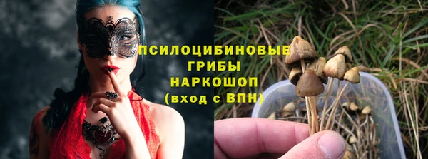 СК Абдулино